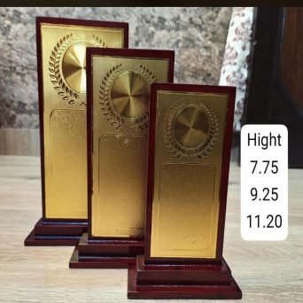 WhatsApp Image 2026-03-04 at 9.49.45 PM